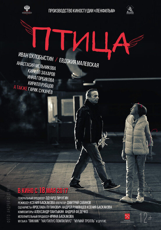 Птица Птица