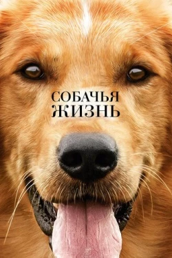 Собачья жизнь Собачья жизнь